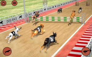 Cách Chơi Game Nhanh Đua Chó Tại BETVND Hiệu Quả Nhất